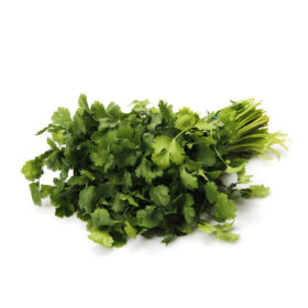 Cilantro, 1 bunch