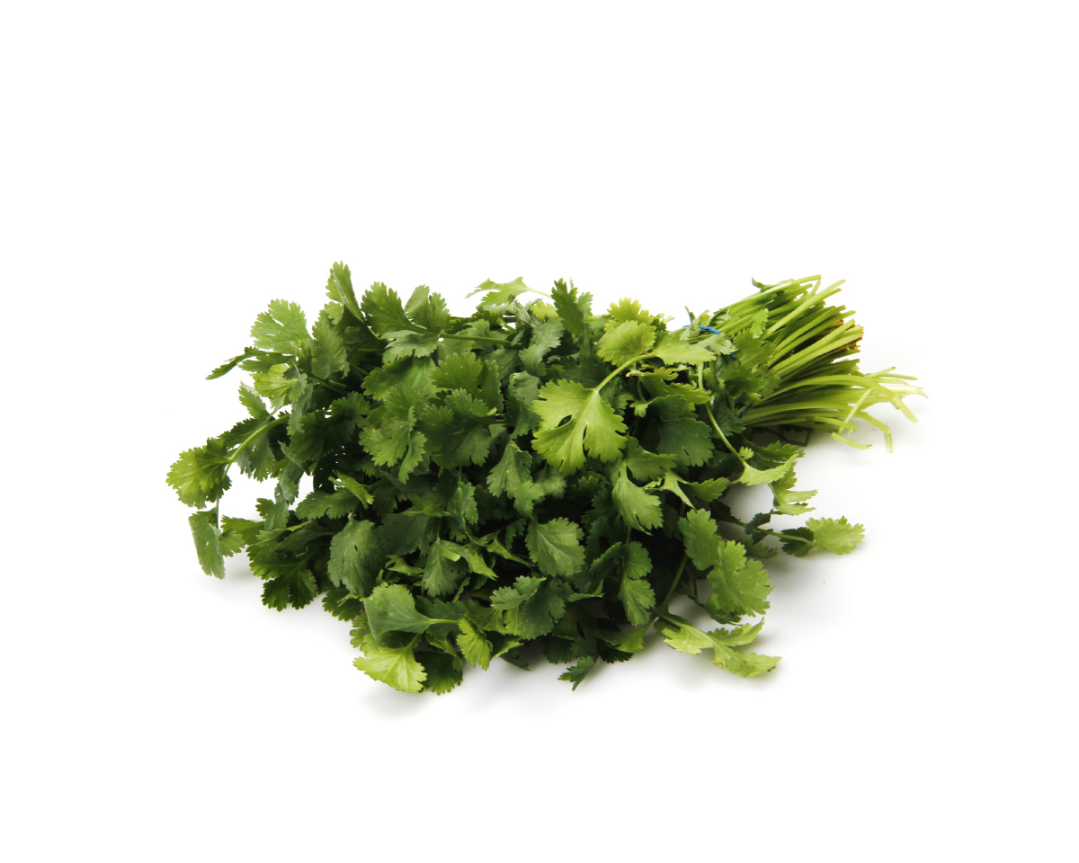 Cilantro, 1 bunch